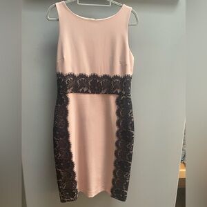 The Limited Cocktail / Wedding Guest Dress Sz‎ 10